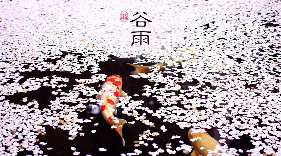 谷雨 | 春欲遠，夏未至，人間最美四月天